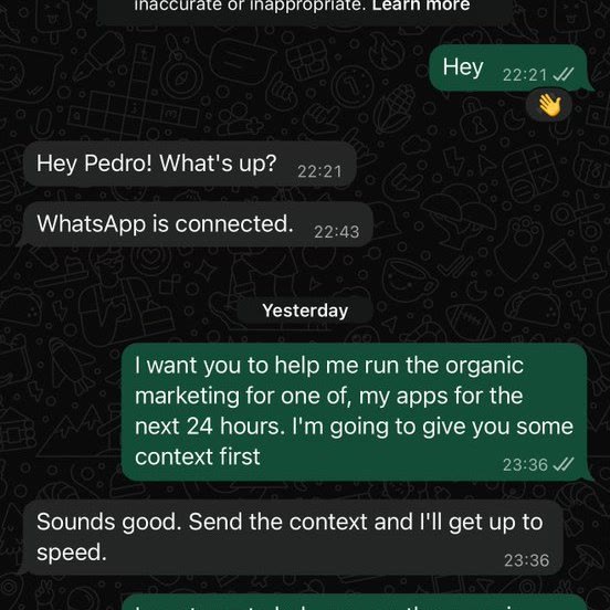 WhatsApp chat with the verified Meta Muse contact confirming WhatsApp is connected, followed by a request to help run an app's organic marketing for the next 24 hours