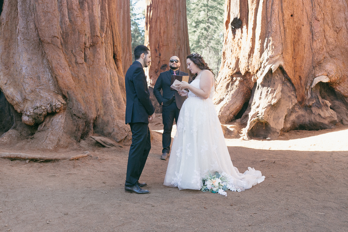 Bride and groom exchanging vows between two massive giant sequoia trunks in Sequoia National Park