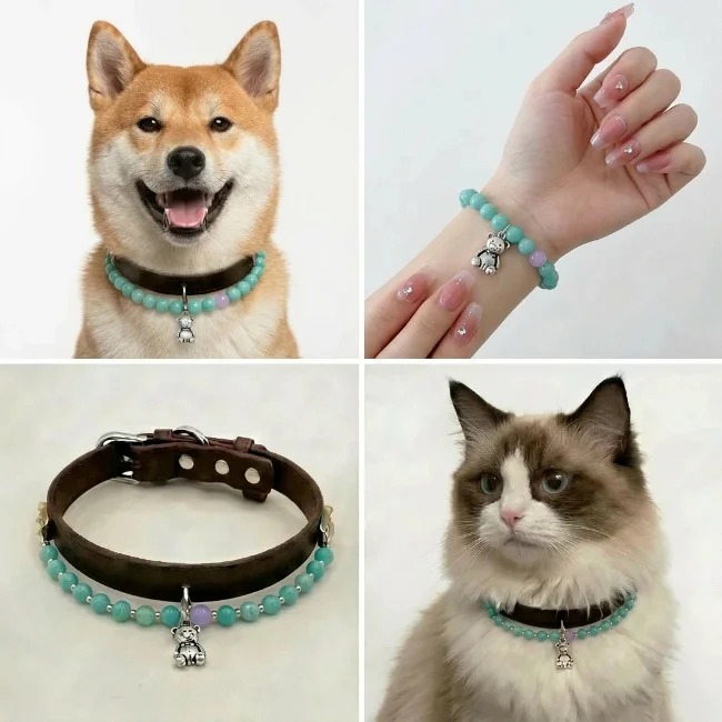 Turquoise Bear Bond Collar